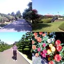 향나무공원 화장실 이미지