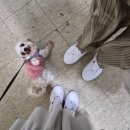 하노이맥주밤거리 안산일동점 | 이별과 만남