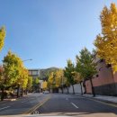 대성카손세차장 이미지