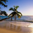 지상낙원 이미지