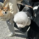 새론주유소 이미지