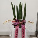 뚜레쥬르범물점 이미지