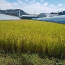 가호공인중개사사무소 이미지