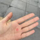 번2동주민센터 회의실 이미지