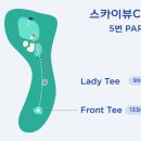 홀인원 스크린골프 이미지