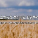 선식농장 이미지