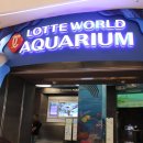 유니타워 | 잠실 롯데타워 아쿠아리움 초등후기
