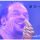 달다 Daum카페
