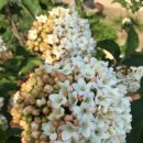 서준농장 이미지