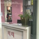 티티붙임머리