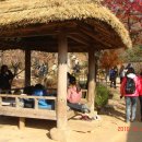 담양나드리 이미지