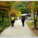 212차:대야산(2009.10.19.월) 이미지