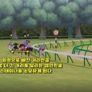 스피드정보