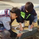 심원초등학교 Daum카페