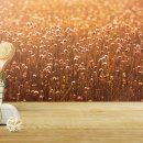 화정헤어 - 북구 | 화정헤어