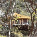 용봉산신토불이 | 덕산도립공원(德山道立公園) 덕숭산(德崇山) 남쪽에 자리잡은 수덕사(修德寺) 산행
