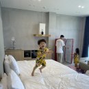 하이포항C 이미지