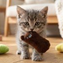 덴탈투유 이미지