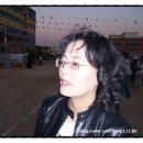 기안초교 이미지