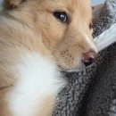 보경종합동물병원 이미지