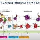 암 면역치료는 오늘날 암 치료의 중심에 있다 이미지