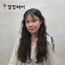춘천 만천리 앨범헤어 굵은히피펌 후기 상지디자이너 추천