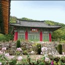 삼성사 이미지