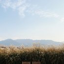 새뜸다락 이미지