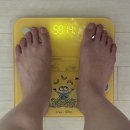 정상체중 마운자로 5mg 테이퍼링 요요 후기 100일차 -9.89kg