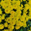 김원삼행정사사무실 이미지