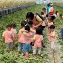 가마을길 이미지