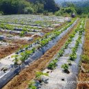 기찬농장 이미지