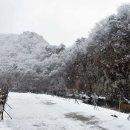 횡성초보캠핑장 이미지