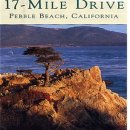 본향장의 이미지