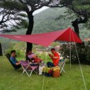 장터추어탕캠핑장 이미지