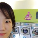 정원세탁소 네이버블로그