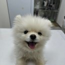 송내초등학교1 이미지