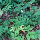 강인문농장 이미지