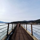 광치 자연휴양림 이미지