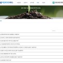 재무설계 코칭 | 금융산업공익재단 금융어드바이저 서비스 💍예비부부의 재무 진단 통찰기