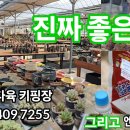 진짜 좋다니깐요😆 세종바람꽃다육 키핑장 그리고 엔힙칼슘 이미지
