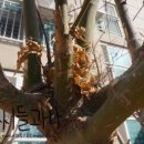 장신휴먼시아2단지 이미지