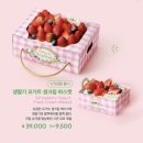 투썸플레이스 생딸기 요거트 바스켓 홀케이크 후기