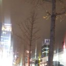 굴보쌈골목 Daum카페