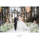 미래컨벤션 | 춘천미래컨벤션 본식스냅 촬영 후기｜오르비아트가 정리한 위치·홀 특징·장단점