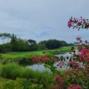 건설공제조합 세종필드골프클럽 이미지