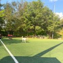 일도장어(남양주점) | 남양주 별내 애견카페 해피존 주차 편한 강아지 카페 대형견 실내 가능