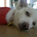 현우하우스 이미지