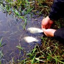 증평낚시 이미지