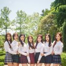 다이아 카카오 검색결과